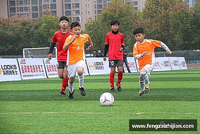 发现leyu乐鱼在线登录